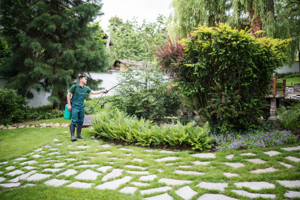 Best Pest Control for Homes  in Springfield, MN