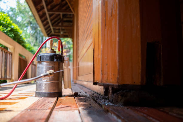 Best Pest Prevention Services  in Springfield, MN