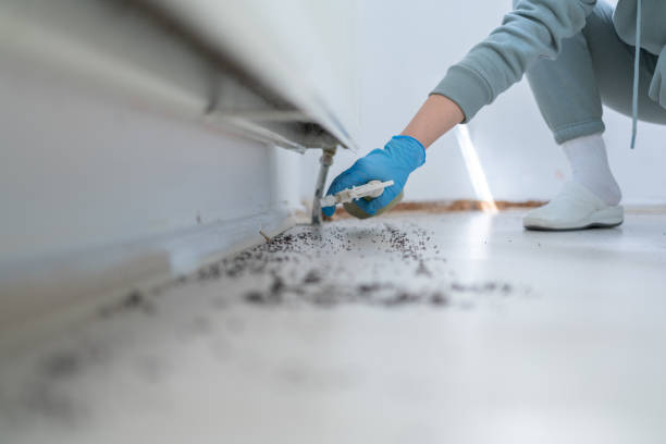 Best Pest Inspection Near Me  in Springfield, MN